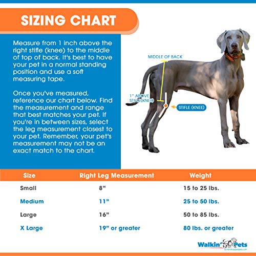 Walkin-Hip-EEZ-Dog-Hip-Brace-Support-Harness-System-Provides-Joint-Support-for-Dogs-with-Hip-Dysplasia-and-Other-Conditions-Affecting-The-Hip-Joint