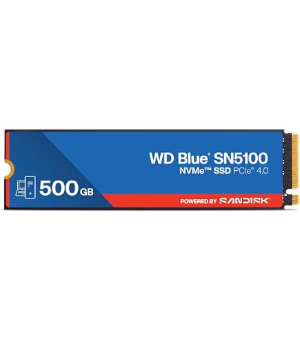Amazon.com: Western Digital Blue SA510 500GB 2.5