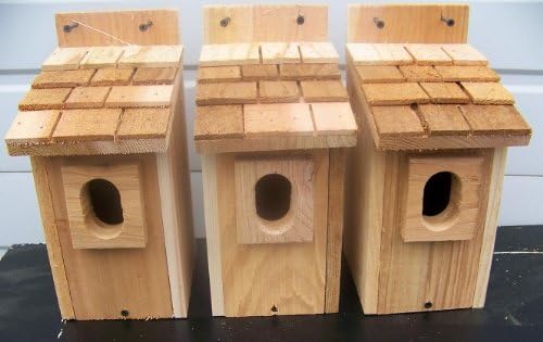 3 Bluebird House with Cedar Shake Roof.peterson Oval Opening.cedarnest