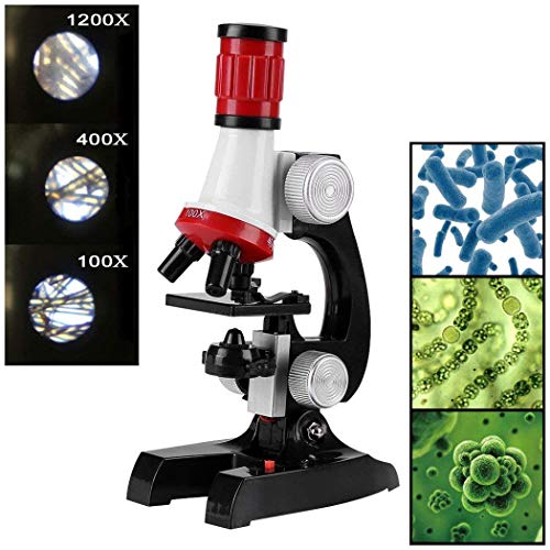 Science Microscope Kit for Children 100x 400x 1200x Refined Scientific Instruments Toy Set for Early Education (Red) - Thumbnail 2