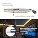 Weatherproof Warm White LED Light Strip, 3528 - 16.4 Feet, 300 LEDs, 3000K, 72 Lumens per Foot. 12V DC