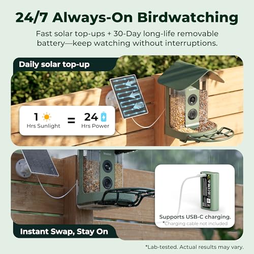 Kiwibit Smart Bird Feeder with Camera Solar Powered, 4K Video Live stream, Wireless Outdoors Bird Camera, AI Identification Bird Species, Real-Time Bird Alert, Birdwatching Gift for Bird Lovers, Green