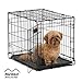 Dog Crate 1522| MidWest ICrate 24 Inch Folding Metal Dog Crate w/ Divider Panel | Small Dog Breed, Black primary