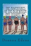 The Adventures of the Bluewater Bay Sequinettes: Four Novellas