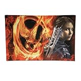 The Hunger Games Movie Pillowcase 