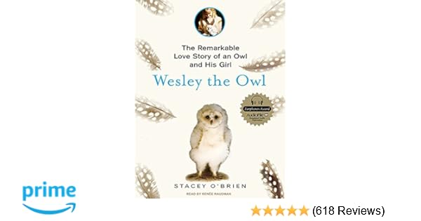 Wesley The Owl The Remarkable Love Story Of An Owl And His Girl