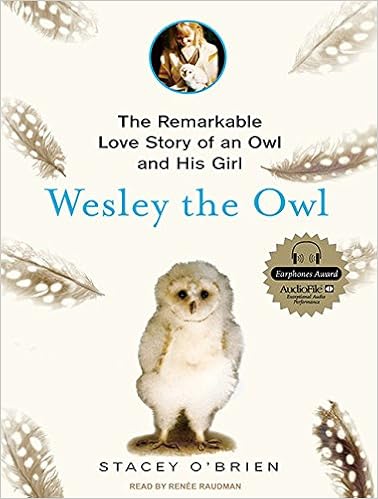 Wesley The Owl The Remarkable Love Story Of An Owl And His Girl O Brien Stacey Raudman Renee 9781400110599 Amazon Com Books