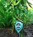 7Pros Soil Test Kit Moisture Meter 3 in 1 Plant Water Meter Light Tester for Potted Plants, Soil PH Meter for Garden, Farm, Lawn Indoor/Outdoor Plant Care Tool, Easy Read Indicator No Battery Neededthumb 2