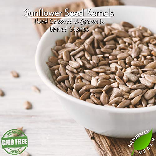 GERBS Lightly Sea Salted Roasted Sunflower Seed Kernels No Shell 4 lbs