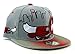 Chicago New Leader Bull Head Skyline Bulls Colors Gray Red Era Snapback Hat Cap