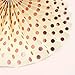 Nicrolandee Rose Gold Paper Fans Foil Hanging Party Fans Dusty Rose Glitter Photo Backdrop for Wedding Birthday Baby Shower Bridal Shower Bachelorette Party Decorations, 6 Pcs/Set