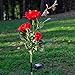 Elstey Solar Lights Rose Flower with Red Buds, Solar Powered Outdoor Waterproof LED Lamps Garden Landscape Decoration Illumination