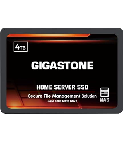 Amazon.com: Gigastone 4TB Game Turbo SSD, Speed Up to 530MB/s with