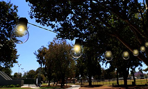 image for GPCT Solar Powered Night Bulb String Light (Auto On/Off, Solar Panel w