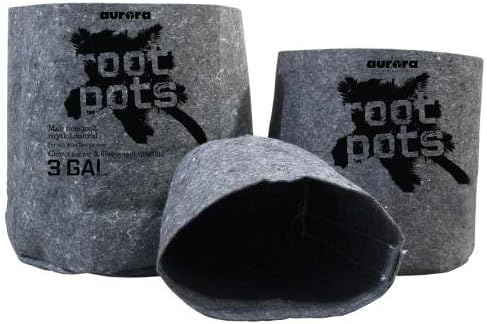 Root Pot Plant Container, 2 gal