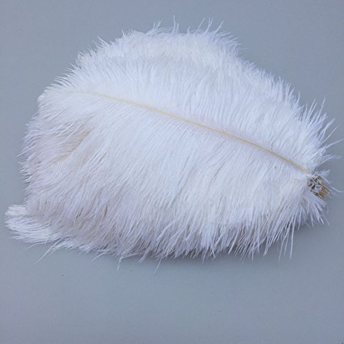 Sowder 50pcs natural 8-10inch(20-25cm) ostrich feathers…