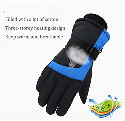 Aisprts Ski Gloves Men and Women Winter Touch Screen Gloves Windproof Waterproof Outdoor Snow Snowboard Warm Gloves (Blue, L)