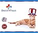 Premium Liquid Glucosamine For Cats, Supplement for Joint Pain Relief, Health and Support, Contains Glucosamine, Chondroitin and MSM
