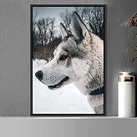 Framed Canvas Wall Art Pupper Animals Chic Dogs Multicolor Photography Urban - 16x24 inches