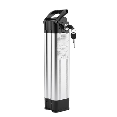 Tatayang Fahrradakku E-Bike Akku 24V 10.4Ah, Li-Ion E-Bike Akku Pack, Trinkflaschenakku Passt für Prophete, Kreidler, Vitalit