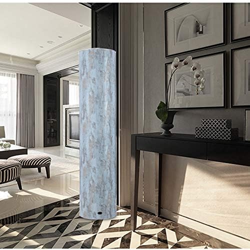 SXYZNXG Shoe Storage Mirror Tall Rack Storage Unit Standing Mirrored