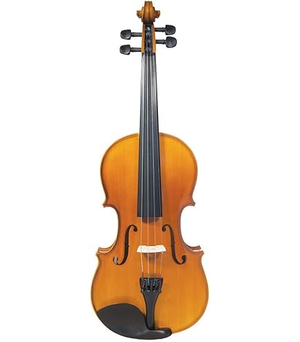 Amazon.com: John Juzek Model 90 4/4 Violin Outfit : Musical