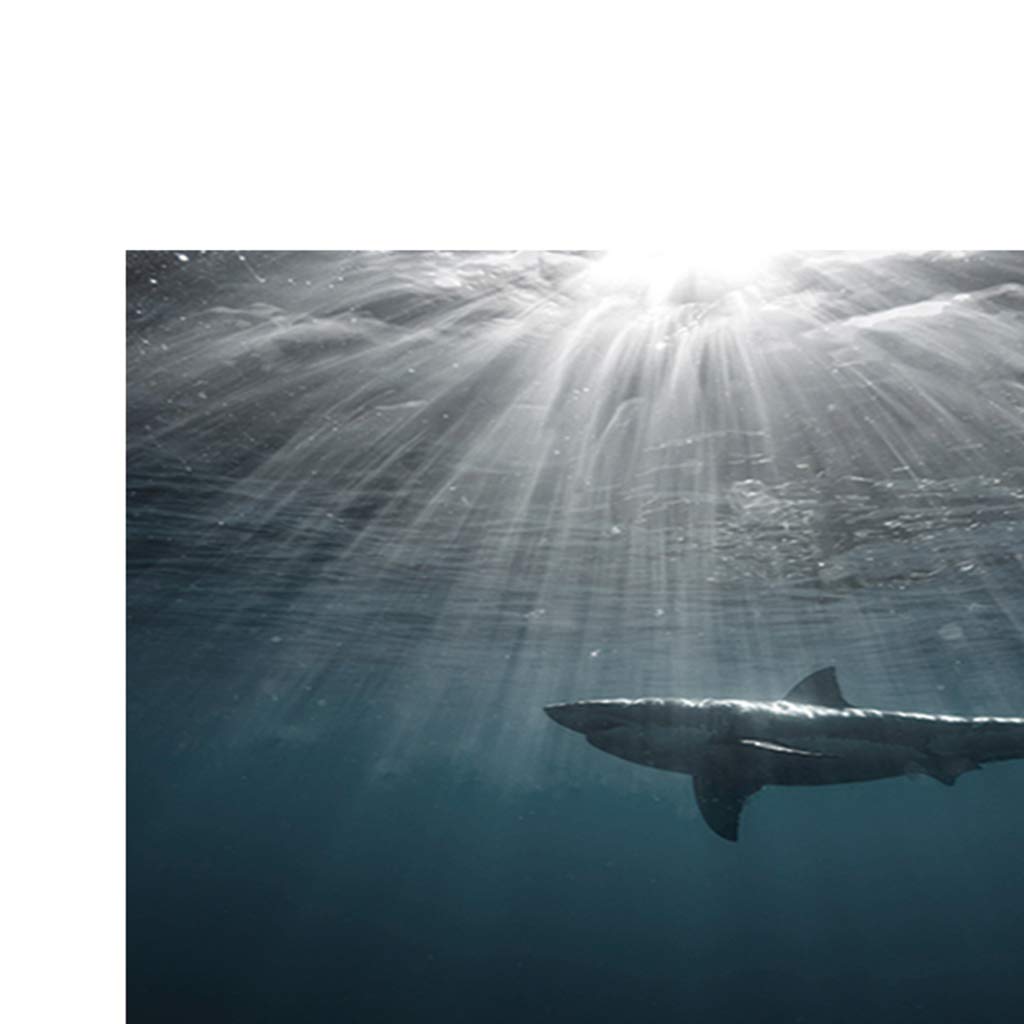 Vankoa Fish Tank Background 3d Underwater Aquarium Backdrop Sticker Wallpaper Decoration Pvc Adhesive Decor Paper Cling Decals Poster 6 Sizes Backgrounds