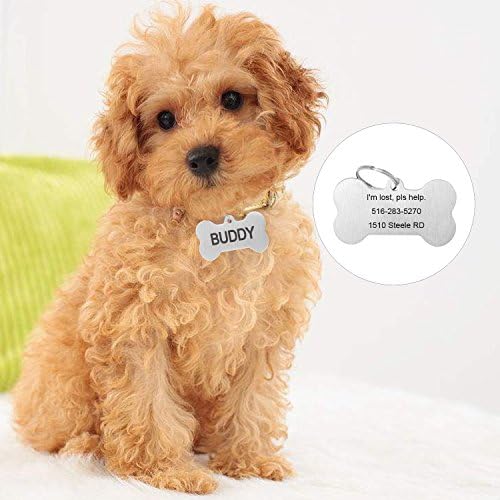 Custom Personalized Dog Tags Stainless Steel Pet ID Tag Plate Engraved Front &amp; Back Customize for Dog Cats