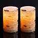 Bingolife Real Wax Birch Bark Effect Flameless LED Candles 3.25