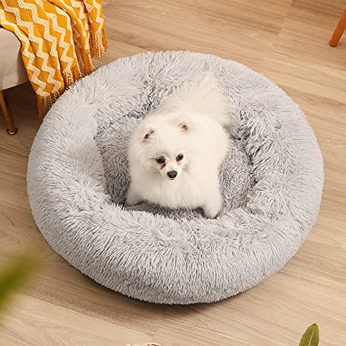 pet cushion bed