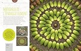 Image de Envie de mandalas nature