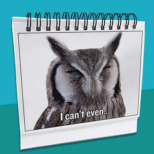 5 Coworkers+Hilarious+Accessories+Everyone+Business