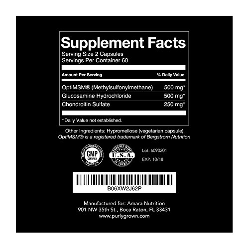 Glucosamine (500mg) Chondroitin (250mg) MSM Joint Supplements Daily