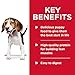 Hill's Science Diet Puppy, Puppy Premium Nutrition, Wet Dog Food, Chicken & Vegetables Stew, 12.8 oz Can, Case of 12