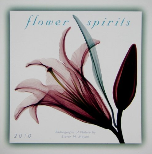 Flower Spirits 2010 Mini Wall Calendar (Calendar)