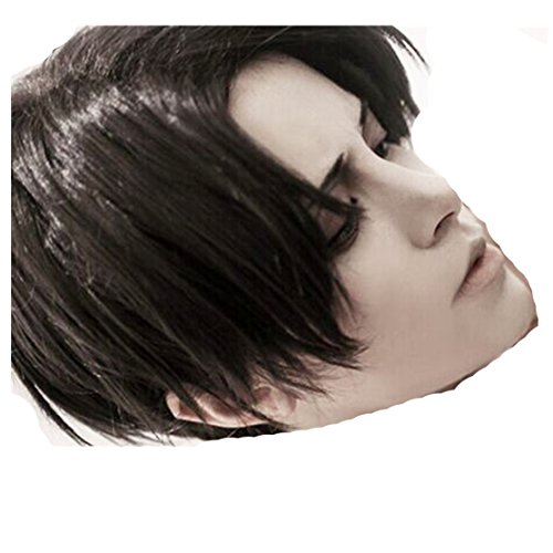 Attack on Titan Captain Levi Ackerman cosplay costume wig
