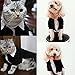 Handsome Prince Cat Bridegroom Wedding Tuxedo Faux Twinset Small Dog Formal Attire Party Birthday Holiday Outfit Halloween Costume (Black Tuxedo, X-Large)