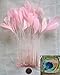Stripped Coque Feathers, Pack of 25, MANY COLOR OPTIONS, Millinery and Crafts - by Lamplight Feather, Inc. (LIGHT PINK)