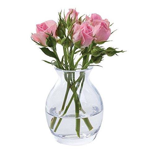 Dartington Crystal Flower Garden Bloom Vase | Clear Flower Vase | Everyday use