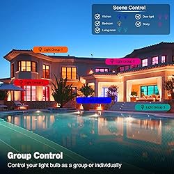 Smart Light Bulb with Remote, A19 9W