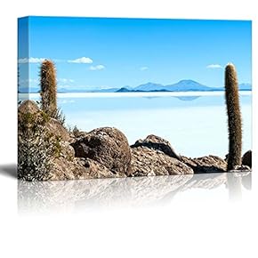 Beautiful Scenery of Salt Lake in Bolivia Wall Decor
