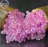 New Imported Rose Pink Bliss Finger Lime Plant Seeds, 10+ Seeds