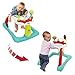 Kolcraft Tiny Steps 2-in-1 Activity Toddler & Baby Walker - Seated or Walk-Behind, Jubliee