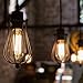 Aplstar New Edison Vintage Bulbs - 6 Pack Bulbs - 60W Incandescent - Clear Glass - ST64 Squirrel Cage - Dimmable