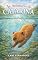 Livro As Aventuras de Catarina (Guia para Pequenos Exploradores do Mundo Animal)