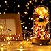 YIHONG 2 Pack Christmas Fairy Lights Battery Operated with Remote Control, 16ft 8 Modes String Lights 50Leds Twinkle Firefly Lights for Patio Garden Party Decoration- Warm White