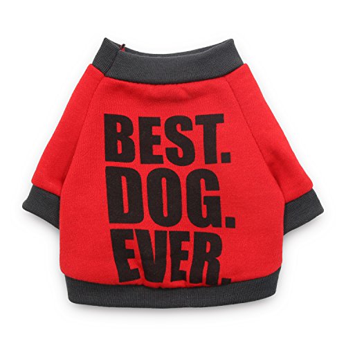 DroolingDog Pet Clothes Dog Fleece T-shirt Funny Costume for Small Dogs
