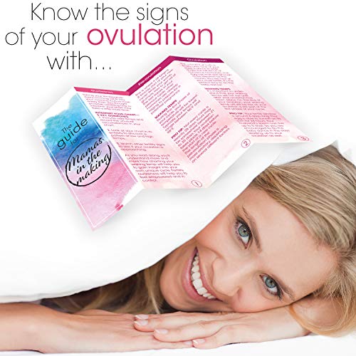 Digital Basal Body Thermometer Track Your Cycle Natural Fertility