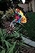 Regal Art &Gift Solar Stake, Butterfly
