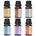 100% PURE Undiluted Essential Oils Set - Top 6 Blends